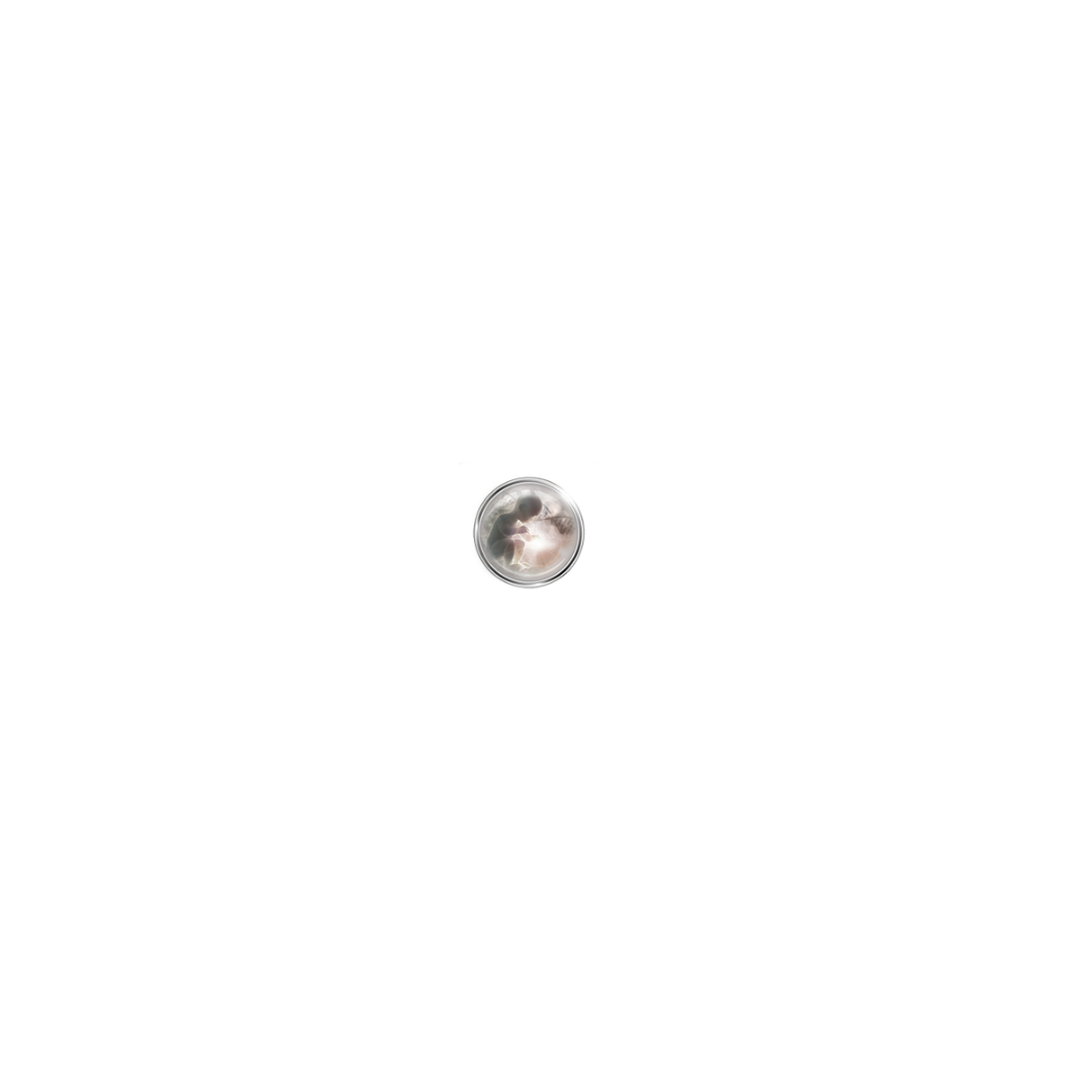 MICROBIRTH